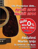 Music Collection Pro 2013