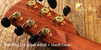 Deewhy Guitar DX6