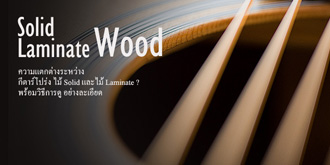 Solid Laminate Guitar