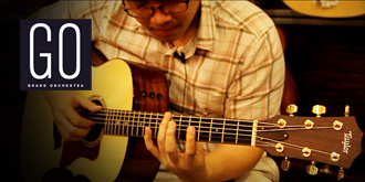 Taylor Guitar 518E GO Body