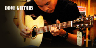 Dove Guitars DL-260