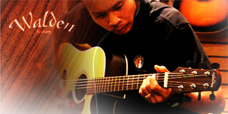 Walden Guitar D810CE