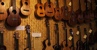 การเลือกซื้อ Ukulele